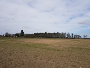 Farmland near Londesborough Lodge