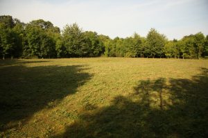 Staunton Quarry Nature Reserve