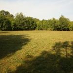 Staunton Quarry Nature Reserve